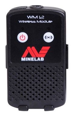 Modulo audio wireless WM 12 GPZ