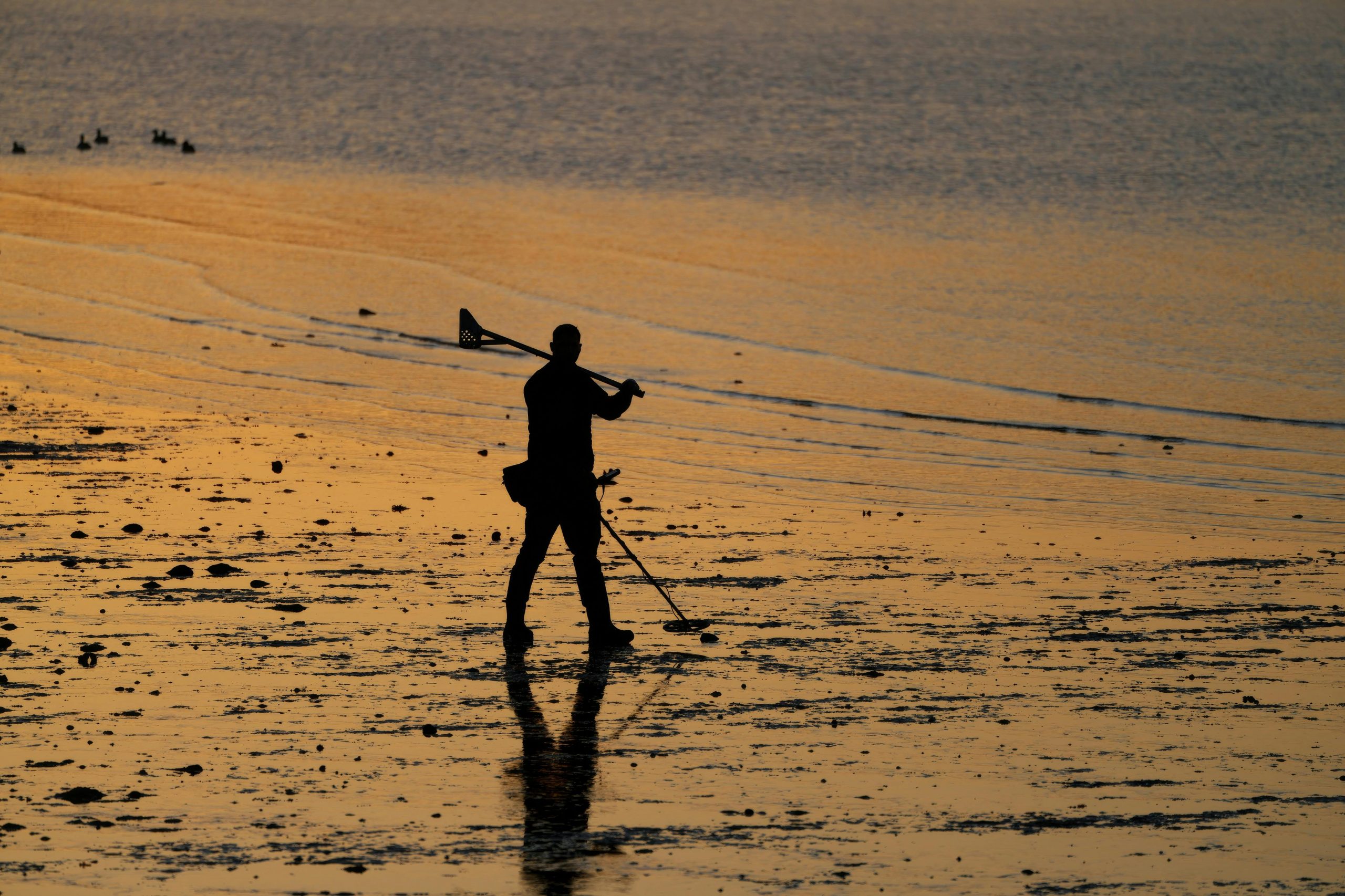 metal detector scholl